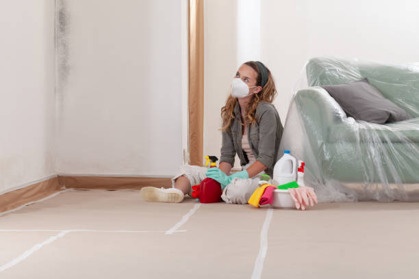 Reliable Mold Inspection And Testing contractor in Bowie, MD by Car Mold Remediation